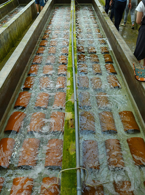 尋山集團科技創新助力&ldquo;海上糧倉&rdquo;_河北新聞網