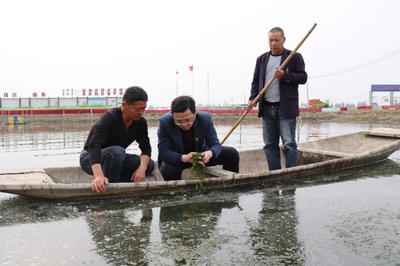 科技助力引領鄉村振興新發展 志愿服務激發水產養殖新動能