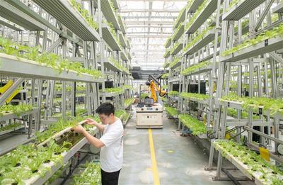 養魚不換水 種菜不施肥