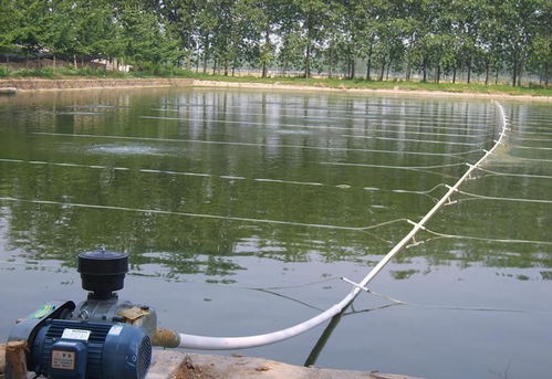 水產養殖羅茨風機增氧技術介紹
