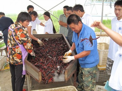 專家來(lái)武漢蝦龍水產(chǎn)養(yǎng)殖開(kāi)發(fā)開(kāi)展龍蝦養(yǎng)殖技術(shù)研發(fā)工作