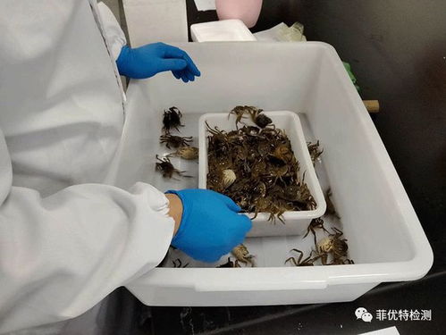 你負(fù)責(zé)水產(chǎn)養(yǎng)殖,我們負(fù)責(zé)病害檢測(cè) 菲優(yōu)特降低各類(lèi)水產(chǎn)養(yǎng)殖風(fēng)險(xiǎn)