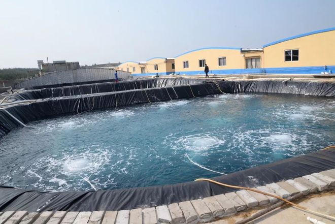 水產(chǎn)界女CEO花25年打造飼料、蝦苗、動(dòng)保小產(chǎn)業(yè)鏈 !如今她聘請(qǐng)?zhí)﹪?guó)專(zhuān)家、聯(lián)手正大,發(fā)力蝦苗板塊 | 尋找中國(guó)好蝦苗