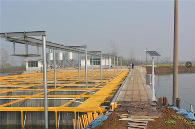 陸基養(yǎng)魚(yú)技術(shù)-智慧農(nóng)研(*服務(wù))