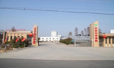 突出示范帶動(dòng),高質(zhì)量引領(lǐng)農(nóng)業(yè)農(nóng)村重大項(xiàng)目加速推進(jìn)