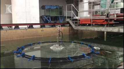 &ldquo;深遠(yuǎn)海養(yǎng)殖技術(shù)發(fā)展國(guó)際研討會(huì)&rdquo;在臨港召開