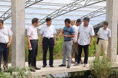 趙衛(wèi)星書記調(diào)研農(nóng)業(yè)產(chǎn)業(yè)發(fā)展:要全力打造成為鄉(xiāng)村振興戰(zhàn)略先行區(qū)