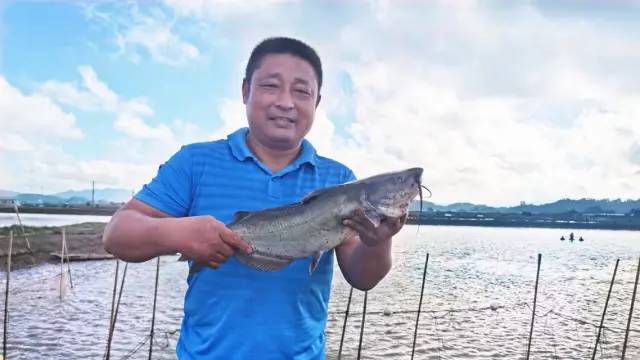 養(yǎng)殖、加工、銷售一條龍!這個基地養(yǎng)出來的叉尾鮰全程可溯源,大受市場歡迎!