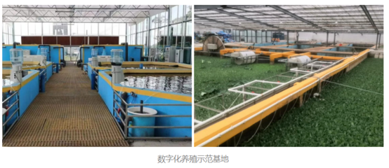 大愛無邊 暖冬守護 | 凱米斯用行動詮釋公益助農(nóng)