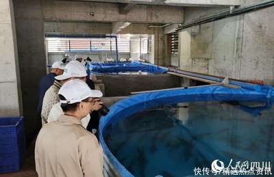 眾多主流媒體關注神奇"空中菜園"