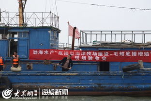 渤海水產 濱州 毛蚶苗種規模化中間培育與底播增殖通過專家現場驗收