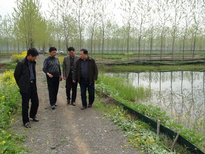 專家來武漢蝦龍水產(chǎn)養(yǎng)殖開發(fā)開展龍蝦養(yǎng)殖技術(shù)研發(fā)工作