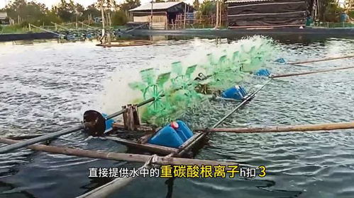 水產(chǎn)養(yǎng)殖中,小蘇打真的能夠提高總堿度嗎