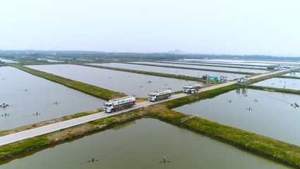 養魚就是養水,廠家如何研發有效調水產品?|陳昌福專欄