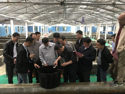 全國水產(chǎn)技術(shù)推廣總站張鋒書記到晉江福大鮑魚水產(chǎn)調(diào)研