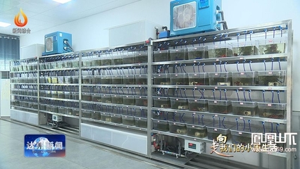 總產(chǎn)值65億元!達(dá)州已認(rèn)定現(xiàn)代農(nóng)業(yè)園區(qū)42個,總面積59.7萬畝