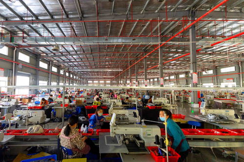 珠遵協作產業 聯姻 深化 4個 ,共譜山海情