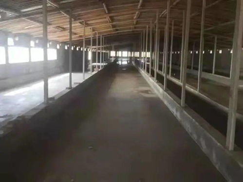 中共田黃鎮委員會 田黃鎮人民政府給您拜年啦