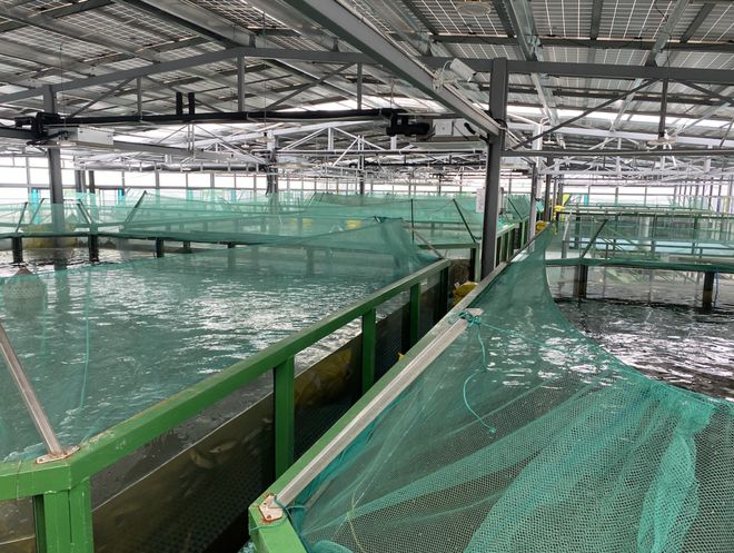 浙江首批“未來(lái)農(nóng)場(chǎng)”公布 十大休閑觀光新地標(biāo)，體驗(yàn)未來(lái)農(nóng)業(yè)新魅力